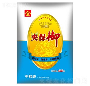 ���v����-ʢ������