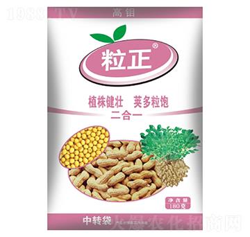 ����������-ʢ������