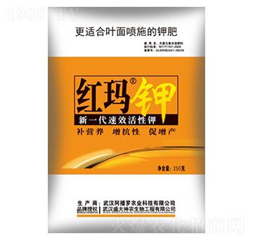 �t���-ʢ������