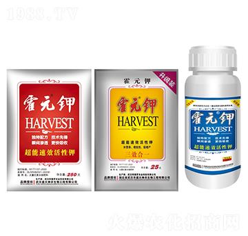 ��Ԫ�-ʢ������