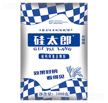 ��̫��-ʢ������