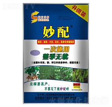 ����-ʢ������