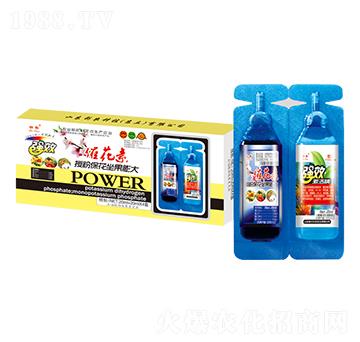 �߻����ڷ۱����������-��-���r