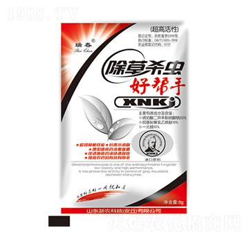 ���ݚ��x�Î���-��-���r