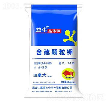 �����w�����w�-��ţ-����