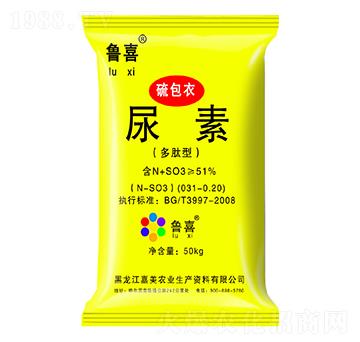 ����-��ϲ-����