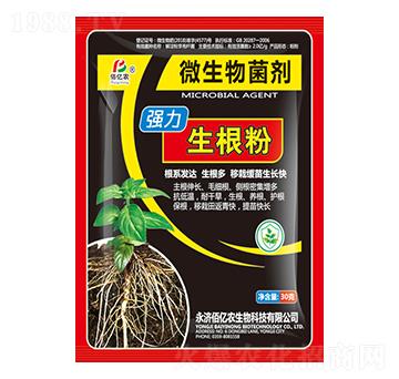 ����������-�ۃ|�r(n��ng)����