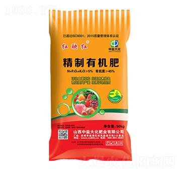 �����ЙC(j��)����-�tӳ�t-���}��