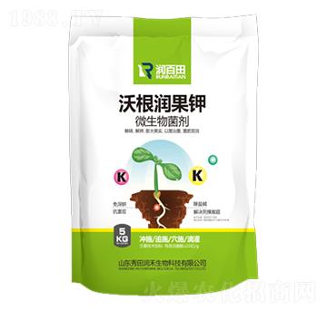 �ָ���(r��n)���-���(r��n)��