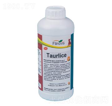 ��ʭ���Ƅ�-���Rʿ-�M���Z