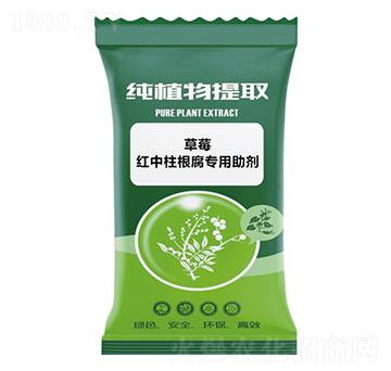 ��ݮ�t����������������-ǧ���