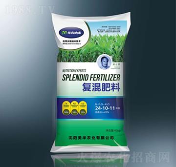 ���׌��Ïͻ����24-10-11-���A�{��-���A�r�I(y��)