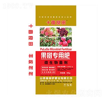 ���䌣��΢�������-ʮ������-�����_