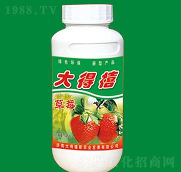 ��ݮ���÷�-�����