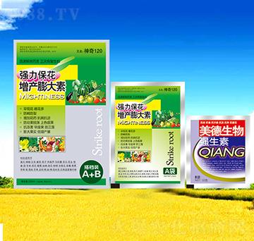 �������a(ch��n)�����-������