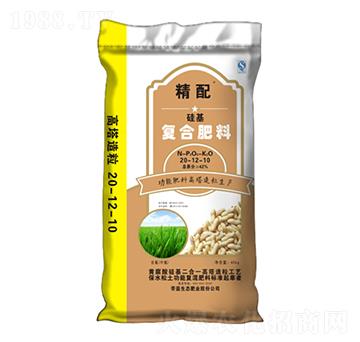 �S�����������ͺϷ���20-12-10-����-�����