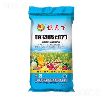 ֲ��˄���-�@����-���r(n��ng)�A��