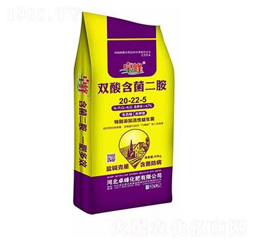 �p�Ậ������20-22