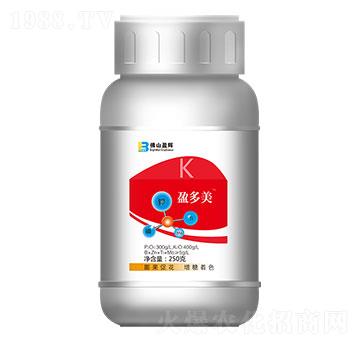 250gӯ����-ӯ�x