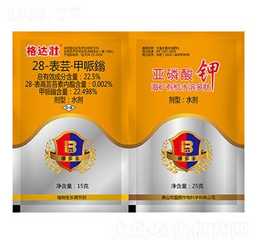 28-���|�������f+�������-���_(d��)��-ӯ�x