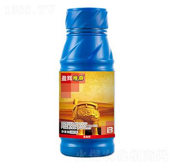 20�|PIBÿ��������x���Ͷ���w������300g��-Ψ��-ӯ�x