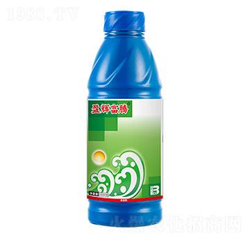 2%���S���أ�1000g��-ӯ�x���v-ӯ�x