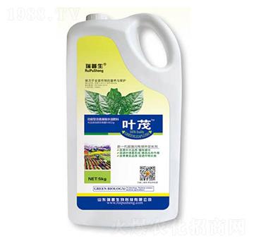 �~ï-��������