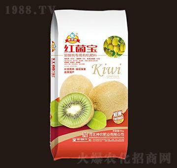 �J���Ҍ����ЙC����-�t�������r(n��ng)��-���r(n��ng)�ʘI(y��)