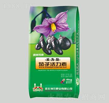 ���ӻ�����-����ʩ-���r(n��ng)�ʘI(y��)