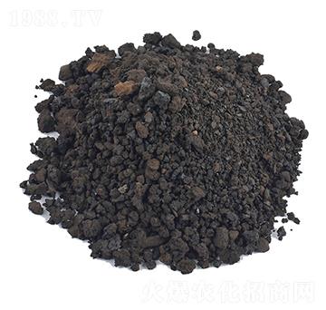 ��ֲ�����-�𺣵|