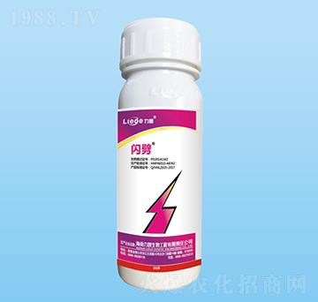 �W�����x��-��������