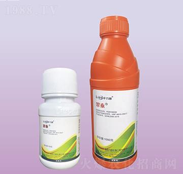 ��̩������-��������