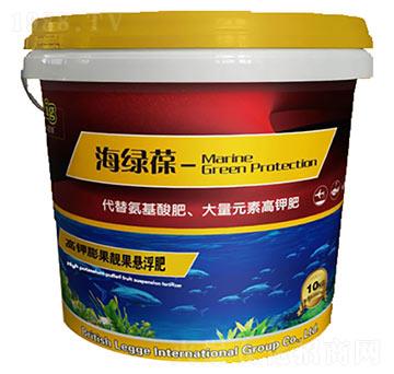 �������n���Ҹ���-���G��-�|���S