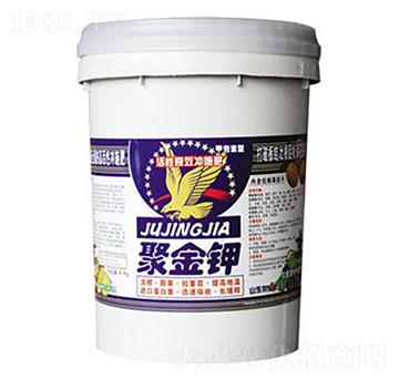 �۽��-̫�S�r(n��ng)��