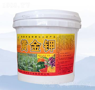 10kg�S���-���S