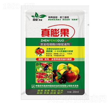 ��ȫ�Լ�(x��)�����Ѵ��M��-�����-�￡�ʘI(y��)