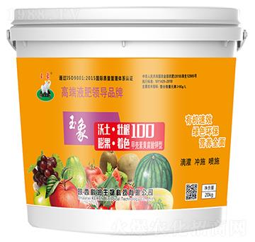 ���100-�Ɲ�����