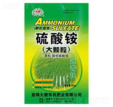 �������@�����-�����ЙC�ʘI(y��)