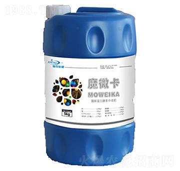 ħ����-���r����