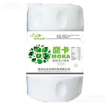 ���L��ø�⵰�׽���-ħ��-���r����