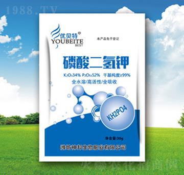 ��������-��(y��u)ؐ��-�������