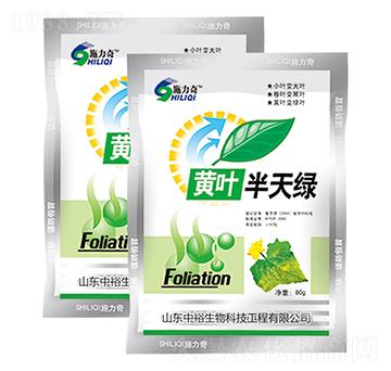 �S�~����G-ʩ����-ԣ��߿�