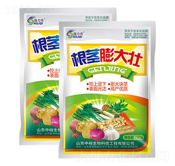 ���o����-ʩ����-ԣ��߿�