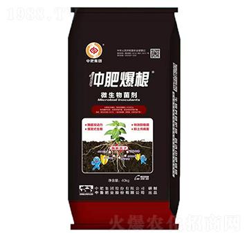 ΢�������-�ٷʱ���-�з�