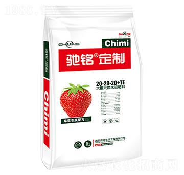 ��ݮ��(zhu��n)�ô���Ԫ��ˮ�ܷ�20-20-20+TE-�Y�����