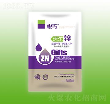 �֠��\-����-�f���_(d��)