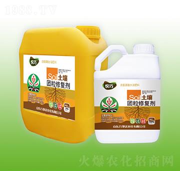 �����F���ޏ̈́�-����-�f���_