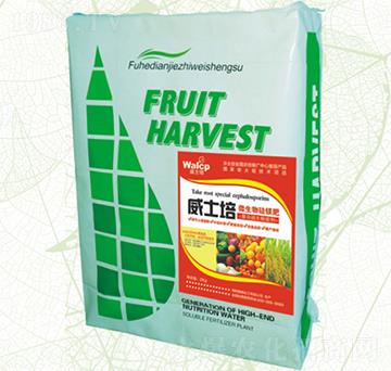 ��ʿ��΢������V��-����