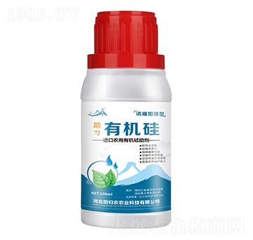 ��s�ӏ����ЙC��-����-��w�r(n��ng)