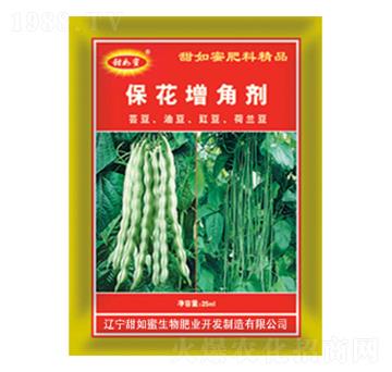 �������Ǆ�-������